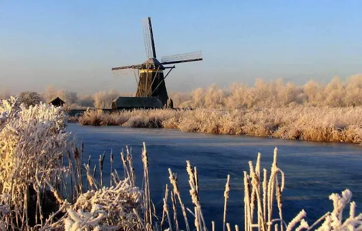 De Strandgaper Zevenhuizen  0*, Zevenhuizen (Zuidplas) Hollanda